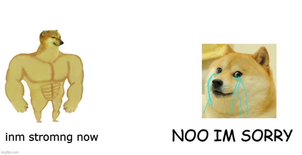 Buff cheems vs crying doge | NOO IM SORRY; inm stromng now | image tagged in buff cheems vs crying doge | made w/ Imgflip meme maker