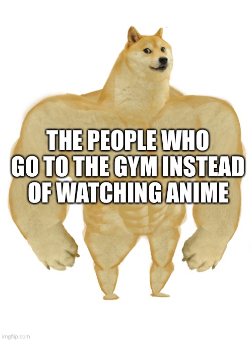 Swole Doge | THE PEOPLE WHO GO TO THE GYM INSTEAD OF WATCHING ANIME | image tagged in swole doge | made w/ Imgflip meme maker