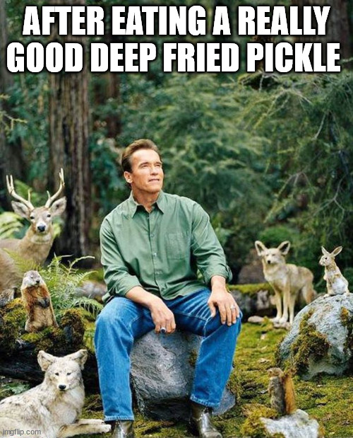Arnold nature | AFTER EATING A REALLY GOOD DEEP FRIED PICKLE | image tagged in arnold nature,grilled cheese,pickle,deep fried pickle,comfort food | made w/ Imgflip meme maker