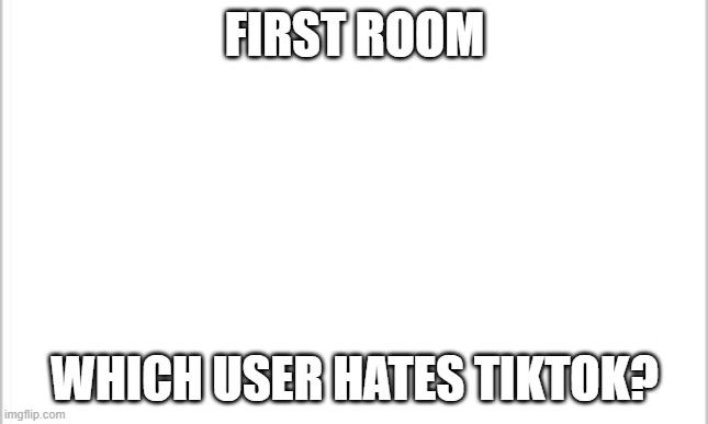 white background | FIRST ROOM; WHICH USER HATES TIKTOK? | image tagged in white background | made w/ Imgflip meme maker