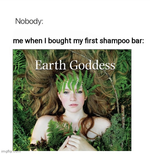 Earth Goddess | me when I bought my first shampoo bar: | image tagged in green,shampoo,earth | made w/ Imgflip meme maker