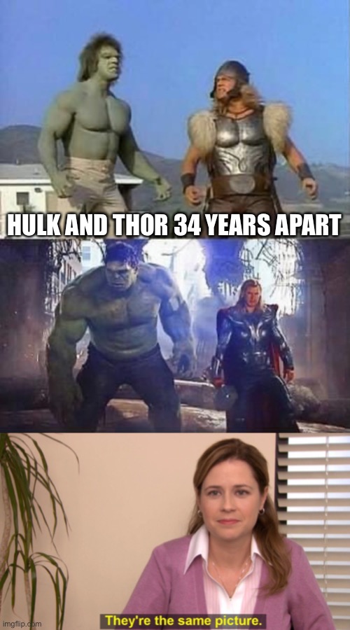 Hulk and Thor are Ageless | HULK AND THOR 34 YEARS APART | image tagged in hulk,thor,pam beasley | made w/ Imgflip meme maker