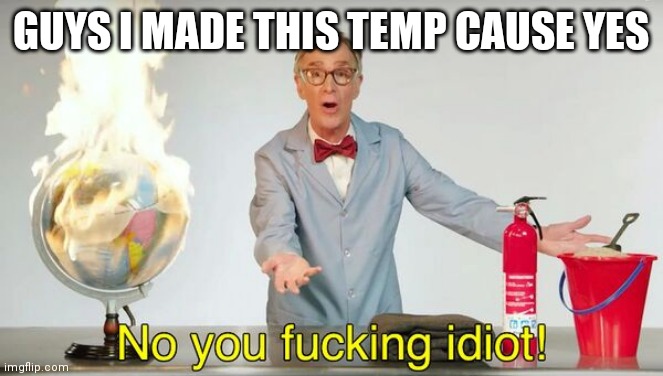 No you f*cking idiot! | GUYS I MADE THIS TEMP CAUSE YES | image tagged in no you f cking idiot | made w/ Imgflip meme maker