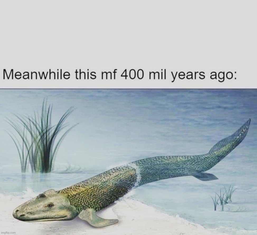 Land fish | image tagged in land fish,custom template,new template,template,history,evolution | made w/ Imgflip meme maker