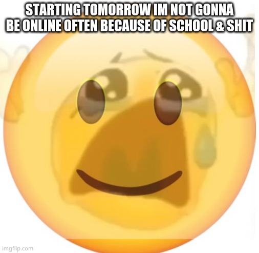 happy emoji on the outside, but crying on the inside | STARTING TOMORROW IM NOT GONNA BE ONLINE OFTEN BECAUSE OF SCHOOL & SHIT | image tagged in happy emoji on the outside but crying on the inside | made w/ Imgflip meme maker