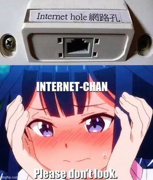 Internet-chan! | image tagged in anime,anime meme | made w/ Imgflip meme maker