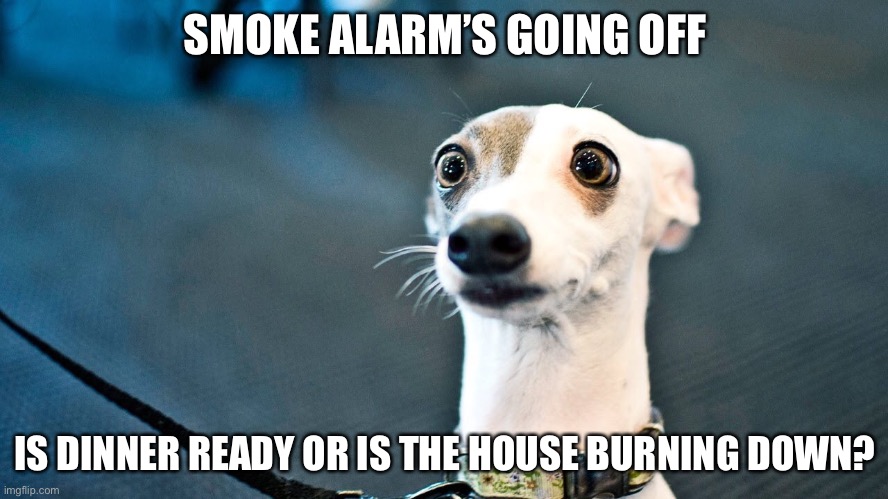 SMOKE ALARM’S GOING OFF; IS DINNER READY OR IS THE HOUSE BURNING DOWN? | image tagged in cooking,burning | made w/ Imgflip meme maker
