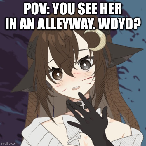 She/her. She’s 23 | POV: YOU SEE HER IN AN ALLEYWAY. WDYD? | image tagged in valeryn | made w/ Imgflip meme maker