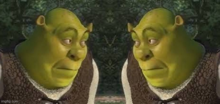 Double sherk | image tagged in sherk | made w/ Imgflip meme maker