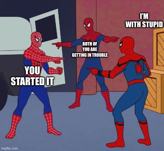 Spider Man Triple | I’M WITH STUPID; BOTH OF YOU ARE GETTING IN TROUBLE; YOU STARTED IT | image tagged in spider man triple | made w/ Imgflip meme maker