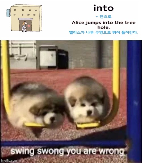 I was learning 'english' at my Korean school and found this | image tagged in swing swong you are wrong,tree,zoom,wrong,excuse me what the heck | made w/ Imgflip meme maker