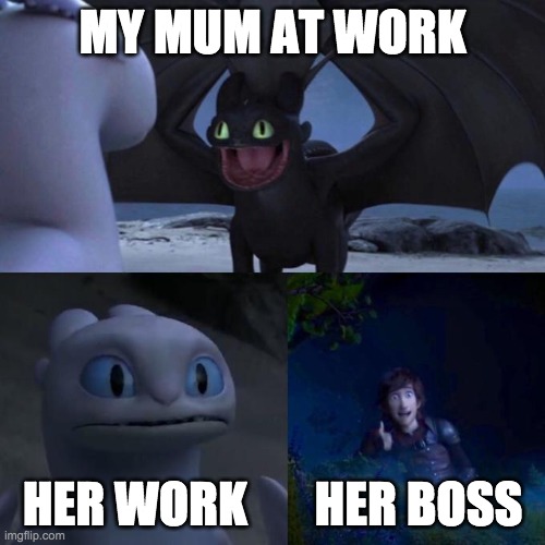 Toothless presents himself | MY MUM AT WORK; HER WORK       HER BOSS | image tagged in toothless presents himself | made w/ Imgflip meme maker