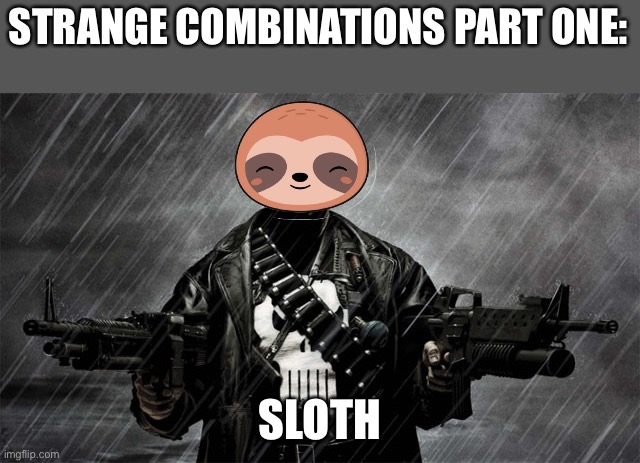 punisher | STRANGE COMBINATIONS PART ONE:; SLOTH | image tagged in punisher | made w/ Imgflip meme maker