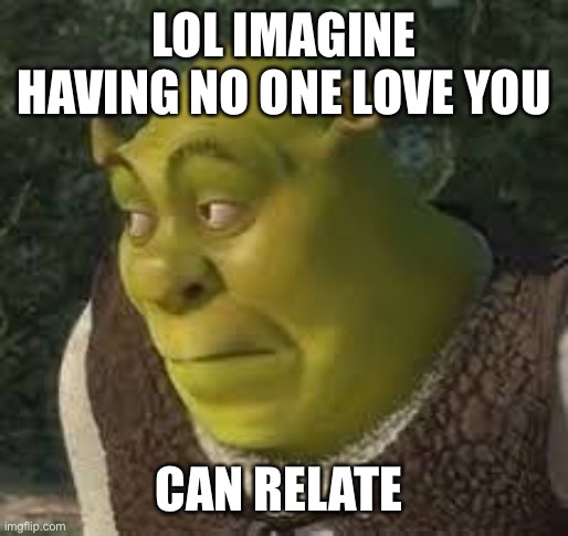 Sad boi | LOL IMAGINE HAVING NO ONE LOVE YOU; CAN RELATE | image tagged in sherk | made w/ Imgflip meme maker