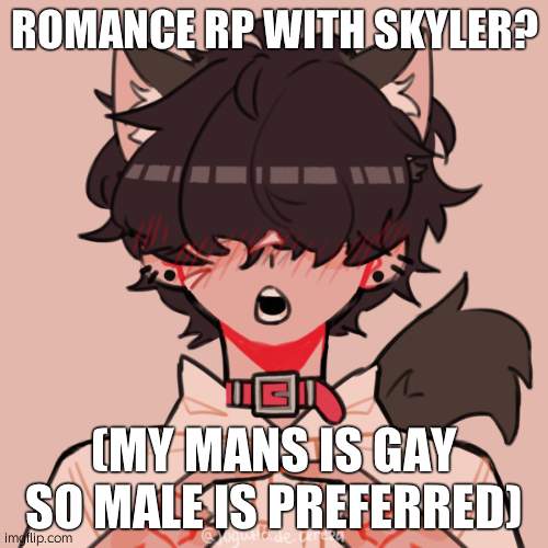 Bean oc Skyler | ROMANCE RP WITH SKYLER? (MY MANS IS GAY SO MALE IS PREFERRED) | image tagged in bean oc skyler | made w/ Imgflip meme maker