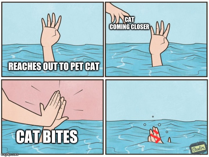 true story | CAT COMING CLOSER; REACHES OUT TO PET CAT; CAT BITES | image tagged in high five drown | made w/ Imgflip meme maker