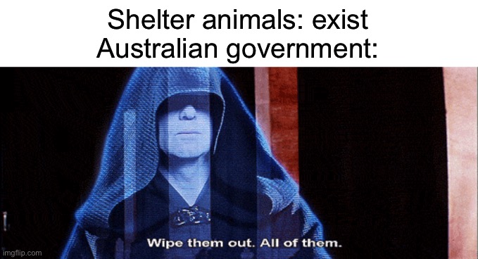 Wtf is going on in Australia?! Did Kylie Minogue take over or something? | Shelter animals: exist
Australian government: | image tagged in australia,shelter animals,kylieminoguesucks | made w/ Imgflip meme maker