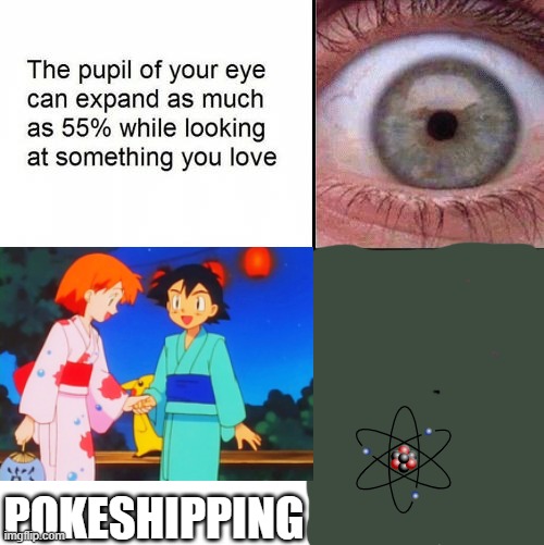 I probably broke the world record for worlds smallest pupil! That's how much I hate PokéShipping. | POKESHIPPING | image tagged in eye pupil shrinking template,pokeshipping,pokemon,eyes,memes,why are you reading this | made w/ Imgflip meme maker