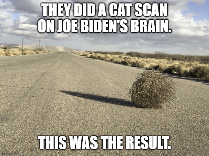 Joe Biden Tumbleweed Brain | THEY DID A CAT SCAN ON JOE BIDEN'S BRAIN. THIS WAS THE RESULT. | made w/ Imgflip meme maker