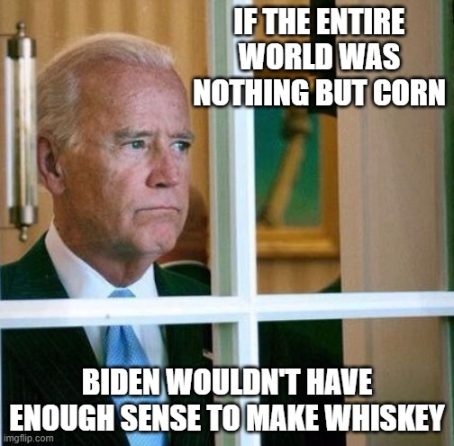 Tali-Biden | IF THE ENTIRE WORLD WAS NOTHING BUT CORN; BIDEN WOULDN'T HAVE ENOUGH SENSE TO MAKE WHISKEY | image tagged in sad joe biden | made w/ Imgflip meme maker