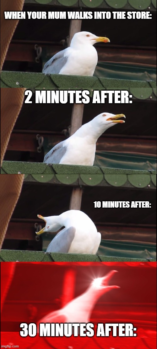 Mum hurry up | WHEN YOUR MUM WALKS INTO THE STORE:; 2 MINUTES AFTER:; 10 MINUTES AFTER:; 30 MINUTES AFTER: | image tagged in memes,inhaling seagull | made w/ Imgflip meme maker