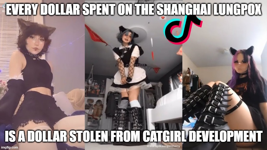 EVERY DOLLAR SPENT ON THE SHANGHAI LUNGPOX; IS A DOLLAR STOLEN FROM CATGIRL DEVELOPMENT | made w/ Imgflip meme maker