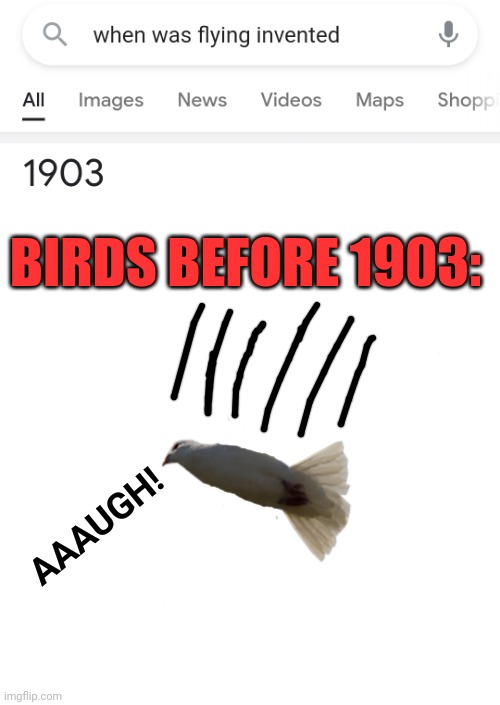 Flying creatures have only existed for 118 years, Google study finds | BIRDS BEFORE 1903:; AAAUGH! | image tagged in funny,google search,invented,birds,stupid,funny results | made w/ Imgflip meme maker