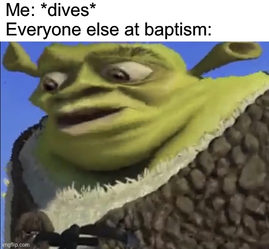 Church | Me: *dives*
Everyone else at baptism: | image tagged in shrek worried,funny | made w/ Imgflip meme maker