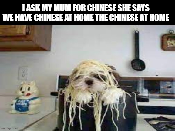 I ASK MY MUM FOR CHINESE SHE SAYS WE HAVE CHINESE AT HOME THE CHINESE AT HOME | image tagged in funny | made w/ Imgflip meme maker