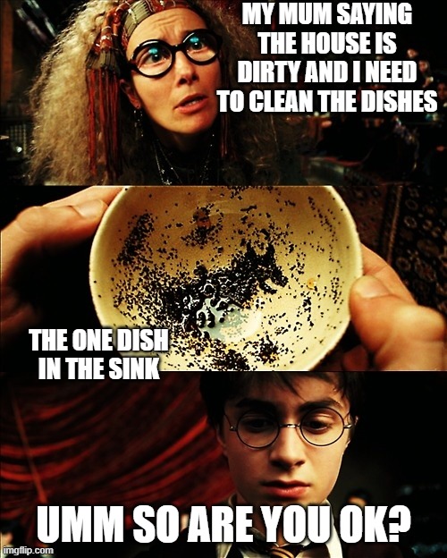 Clean And Funny Harry Potter Memes 