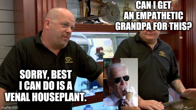 What will you give me for a joe biden? | CAN I GET AN EMPATHETIC GRANDPA FOR THIS? SORRY, BEST I CAN DO IS A VENAL HOUSEPLANT. | image tagged in pawn stars best i can do | made w/ Imgflip meme maker