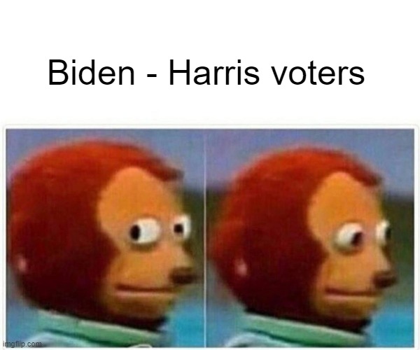 Monkey Puppet |  Biden - Harris voters | image tagged in memes,monkey puppet | made w/ Imgflip meme maker