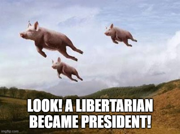 Pigs Fly | LOOK! A LIBERTARIAN BECAME PRESIDENT! | image tagged in pigs fly | made w/ Imgflip meme maker