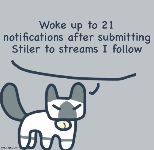 Cat | Woke up to 21 notifications after submitting Stiler to streams I follow | image tagged in cat | made w/ Imgflip meme maker