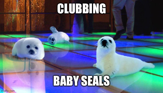 Stop clubbing, baby seals! | CLUBBING BABY SEALS | image tagged in stop clubbing baby seals | made w/ Imgflip meme maker
