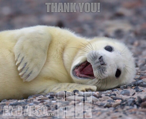 THANK YOU! AND ALSO… | made w/ Imgflip meme maker