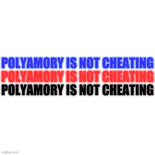 Blank Transparent Square | POLYAMORY IS NOT CHEATING; POLYAMORY IS NOT CHEATING; POLYAMORY IS NOT CHEATING | image tagged in memes,blank transparent square | made w/ Imgflip meme maker