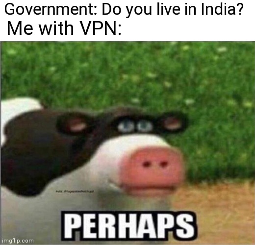 Need VPN for almost anything digital | Government: Do you live in India? Me with VPN: | image tagged in perhaps cow | made w/ Imgflip meme maker