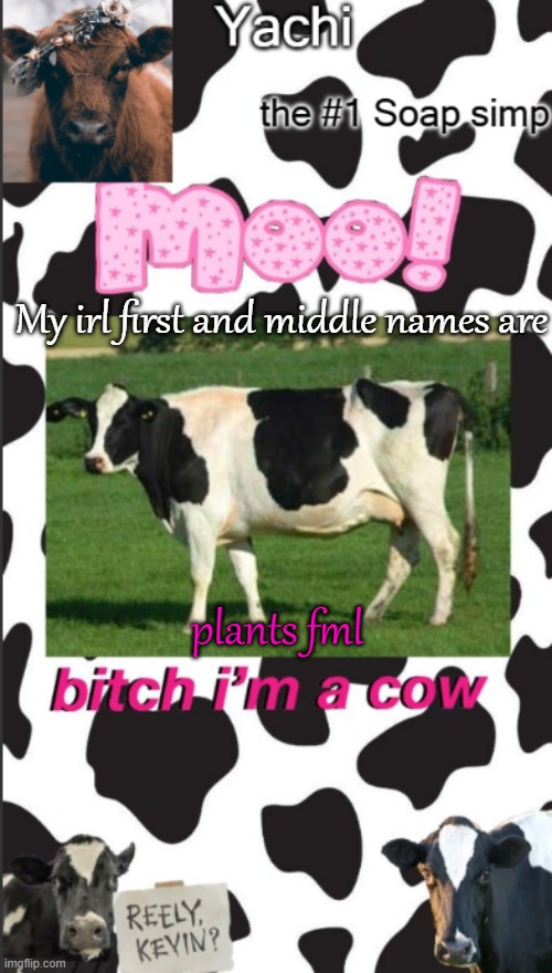 Yachis cow temp | My irl first and middle names are; plants fml | image tagged in yachis cow temp | made w/ Imgflip meme maker