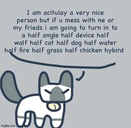 Yes, I am bored again. | I am acitulay a very nice person but if u mess with ne or my frieds i am going to turn in to a half angle half device half wolf half cat half dog half water half fire half grass half chicken hybird | image tagged in cat | made w/ Imgflip meme maker