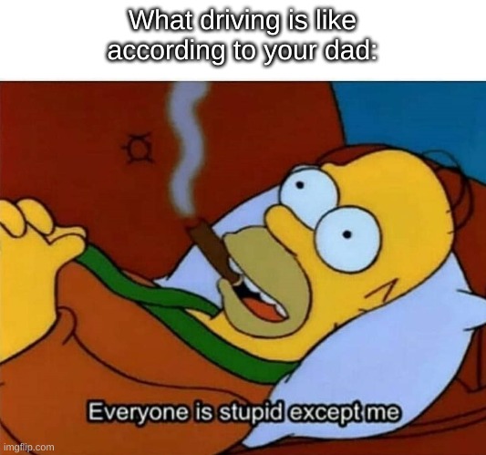 *Screech* IDIOT! | What driving is like according to your dad: | image tagged in everyone is stupid except me | made w/ Imgflip meme maker