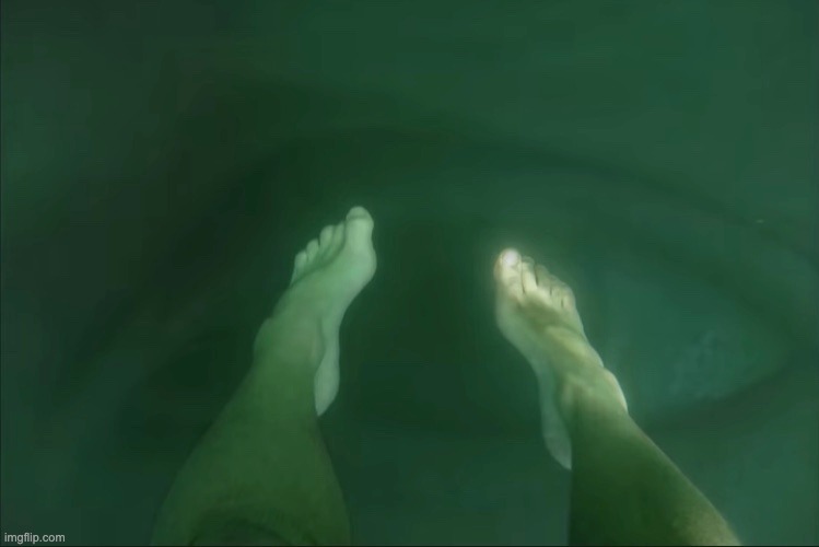In the ocean | made w/ Imgflip meme maker