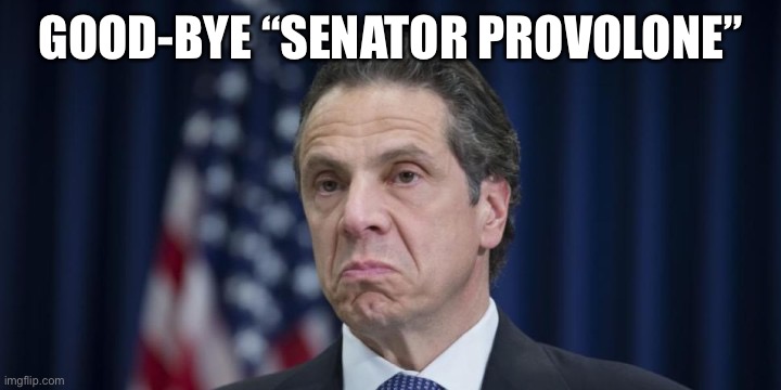 Cuomo’s nickname during his school years | GOOD-BYE “SENATOR PROVOLONE” | image tagged in andrew cuomo,senator provolone | made w/ Imgflip meme maker