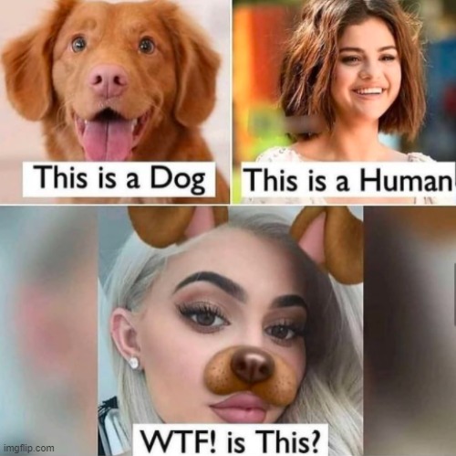 . | made w/ Imgflip meme maker
