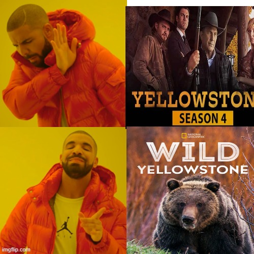 Yellowstone | image tagged in yellowstone national park,wolves,grizzly bear,bison,elk | made w/ Imgflip meme maker
