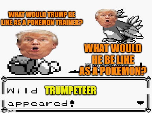 Imagine calling out the attacks he's gonna use. | WHAT WOULD TRUMP BE LIKE AS A POKEMON TRAINER? WHAT WOULD HE BE LIKE AS A POKEMON? TRUMPETEER | image tagged in pokemon appears,donald trump | made w/ Imgflip meme maker