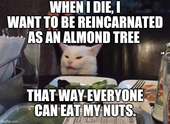 Salad cat |  WHEN I DIE, I WANT TO BE REINCARNATED AS AN ALMOND TREE; J M; THAT WAY EVERYONE CAN EAT MY NUTS. | image tagged in salad cat | made w/ Imgflip meme maker