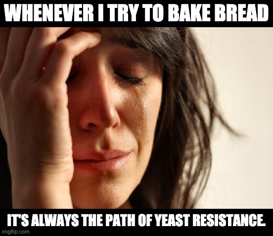 Bake | WHENEVER I TRY TO BAKE BREAD; IT'S ALWAYS THE PATH OF YEAST RESISTANCE. | image tagged in memes,first world problems | made w/ Imgflip meme maker