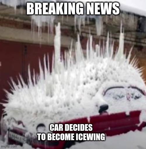 for those who are wof fans (made at 3:00 am) | BREAKING NEWS; CAR DECIDES TO BECOME ICEWING | image tagged in wings of fire | made w/ Imgflip meme maker