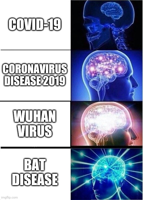 Expanding Brain | COVID-19; CORONAVIRUS DISEASE 2019; WUHAN VIRUS; BAT DISEASE | image tagged in memes,expanding brain,coronavirus,covid-19 | made w/ Imgflip meme maker